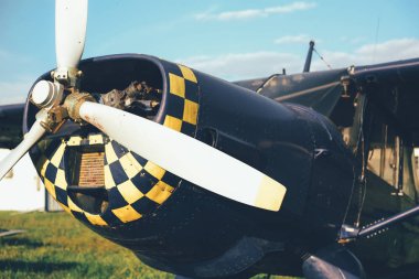 Pervane mavi uçağın havaalanı çimenlerin üzerinde