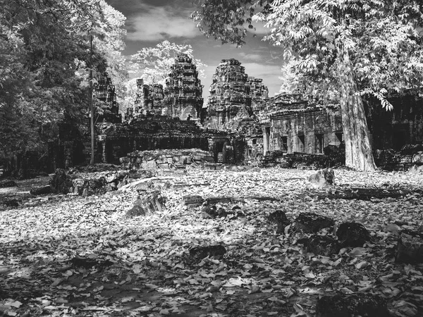 Image infrarouge de l'architecture khmère au Cambodge à Angkor Wat. — Photo