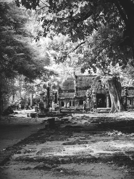 Инфракрасный образ кхмерской архитектуры в Ангкор-Вате, Камбоджа — стоковое фото