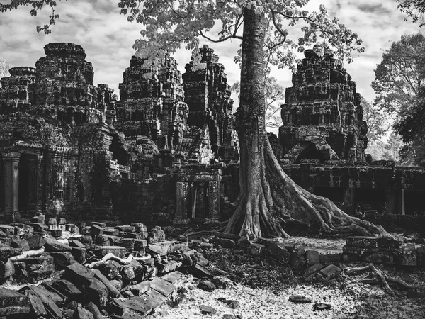 Infrared image of Khmer architecture in Angkor Wat, Cambodia — Stock Photo, Image