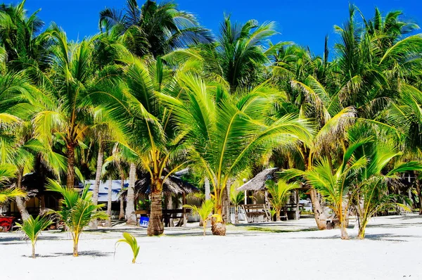 Beautiful white coral sand beach with palms and cottages — Stock Photo, Image