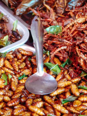 Kızarmış böcekler sokak gıda tezgahları Asya
