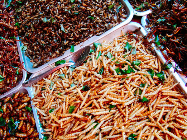 Fried insects on the street food stalls of Asia