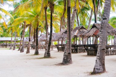 Avuç içi, evler ve beyaz kum plaj Asya ile cennet tropikal ada manzara