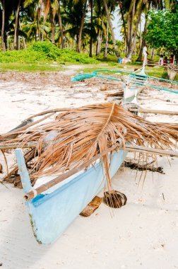 Tropikal beyaz yeşil palmiye ağaçları ile plaj kum ve balıkçı tekneleri kum park etmiş. Egzotik ada cenneti