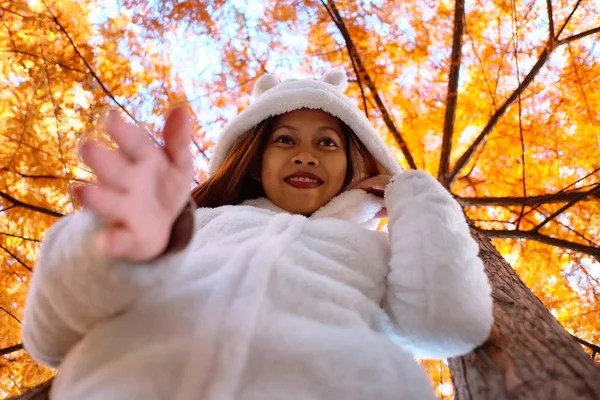  Güneşli bir gün, gün batımı sırasında Beyaz önlük parkta genç kadında sonbahar Park'ta mutlu genç güzel kadın
