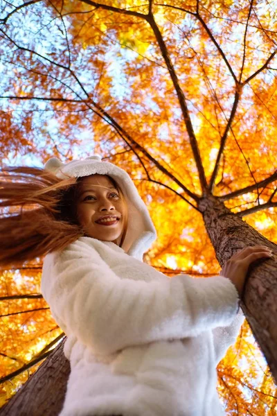  Güneşli bir gün, gün batımı sırasında Beyaz önlük parkta genç kadında sonbahar Park'ta mutlu genç güzel kadın