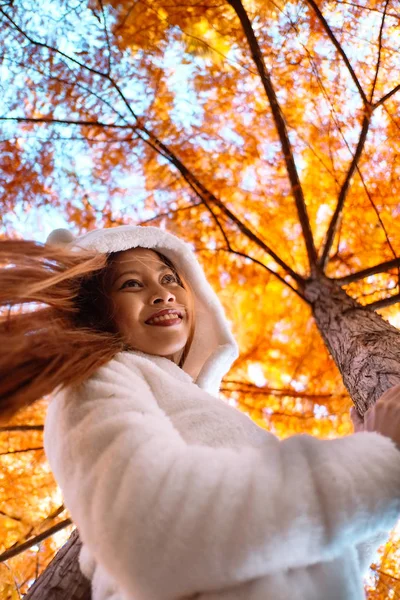  Güneşli bir gün, gün batımı sırasında Beyaz önlük parkta genç kadında sonbahar Park'ta mutlu genç güzel kadın