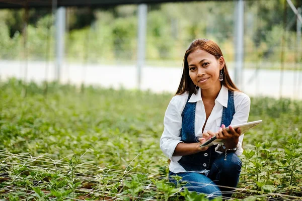 Młode ładne kobiety Azjatki agronom z tabletu w kontrolę roślin cieplarnianych. — Zdjęcie stockowe