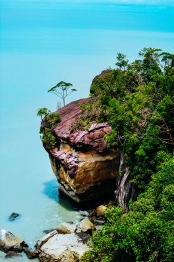 Sarawak tropikal kıyısında görünümü , Milli park Bako tropikal yağmur ormanlarının kayalık kıyısında, Borneo
