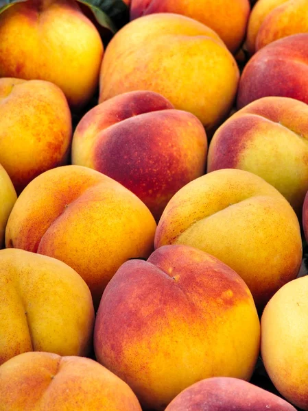 Large fresh peaches background. Peach fruit with a velvety skin. Vegetarian food. Healthy fruit. Peaches are delicate and fresh