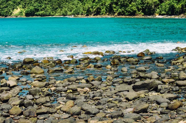 Kilátás Trópusi Szigeten Strand Kota Kinabalu Sziklás Partján Trópusi Esőerdők Stock Kép