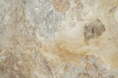 doku eski duvar, beton yüzeyine yıkıldı