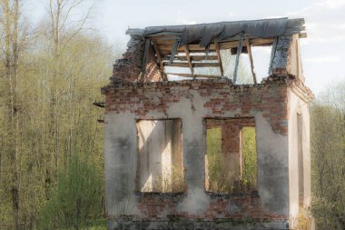 Eski yıkılan bina moss-grown duvarlı bitkisinin kuru ot ve çalılar, güneşli bahar günü, mavi gökyüzü bulutlar ile çevrili bir ormanda bulunan
