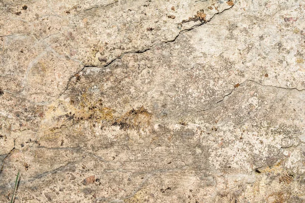 Tekstura stare betonowe ściany z uszkodzonej powierzchni i małe pęknięcia, na niektóre części ściany mech rośnie — Zdjęcie stockowe