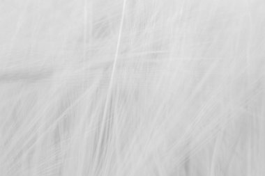 Satırları bir ağırlığı ile bulanık gri arka plan