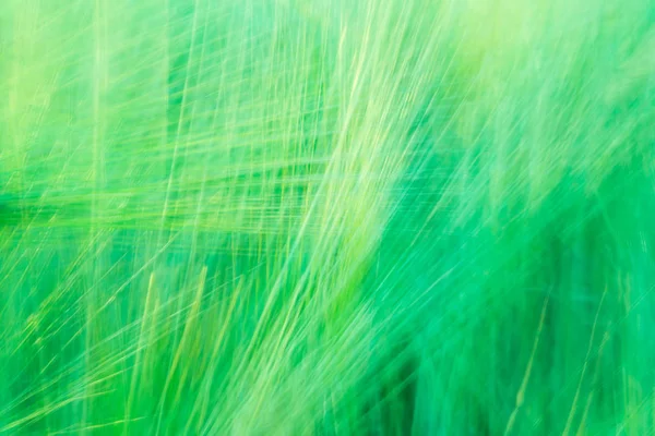 Blurred green abstract background with a predominance of lines