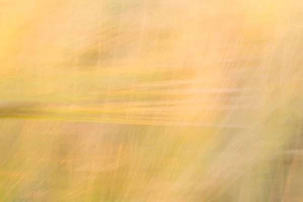 Verschwommener gelber abstrakter Hintergrund mit einer Dominanz von Linien — Stockfoto