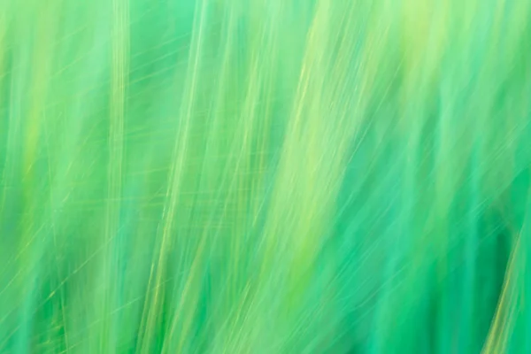 Verschwommener grüner abstrakter Hintergrund mit einer Dominanz von Linien — Stockfoto