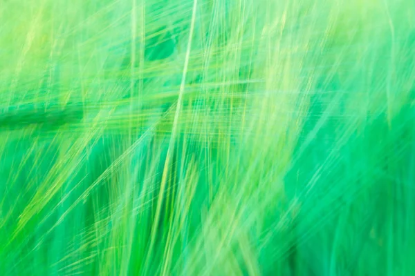 Blurred green abstract background with a predominance of lines