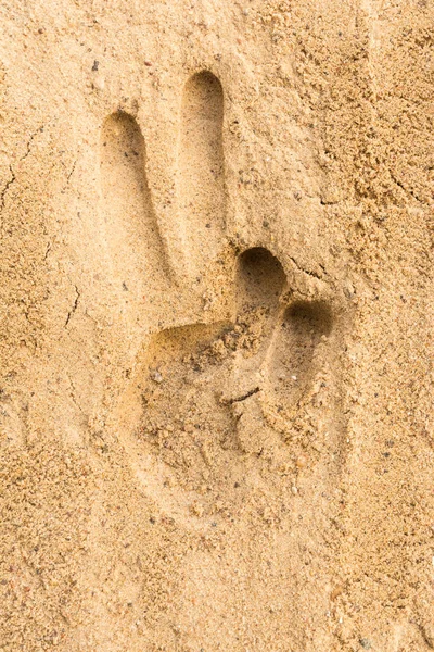 Hand print on the sand beach texture background