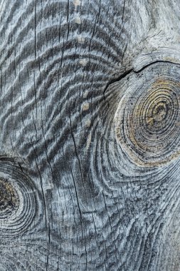 Karanlık doku çatlaklar maruz güneş ve rüzgar ile eski doğal ahşap