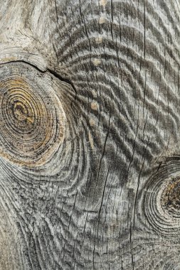 Karanlık doku çatlaklar maruz güneş ve rüzgar ile eski doğal ahşap