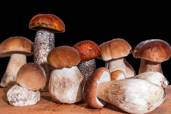 Семь грибов boletus и два красных чешуйчатых стебель стоять на деревянной доске — стоковое фото