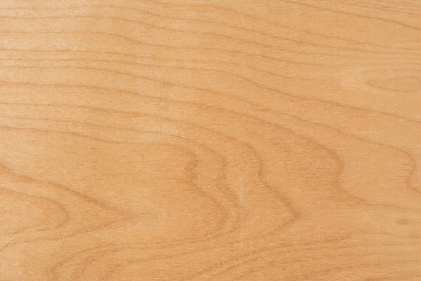 Υφή της φυσικό βετούλης (σημύδας) κόντρα πλακέ, η επιφάνεια της ξυλείας είναι μη επεξεργασμένο, πολλή των ινών και μικρές μάρκες — Φωτογραφία Αρχείου