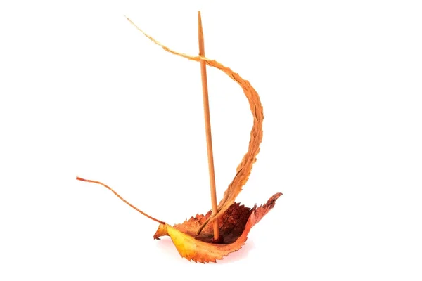 Un bateau avec une voile est fait de deux feuilles de bouleau sec et cure-dents, le navire est isolé — Photo