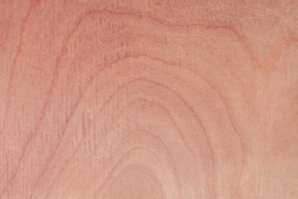 Υφή της φυσικό βετούλης (σημύδας) κόντρα πλακέ, η επιφάνεια του ξύλου έχει τρίβονται με γυαλόχαρτο και γδαρμένο — Φωτογραφία Αρχείου