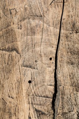 ahşap doku çok eski meşe, kaba ahşap üniforma değil