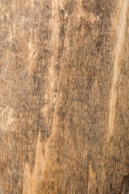 ahşap doku çok eski meşe, kaba ahşap üniforma değil
