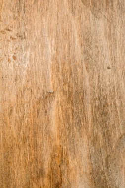 ahşap doku çok eski meşe, kaba ahşap üniforma değil