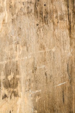 ahşap doku çok eski meşe, kaba ahşap üniforma değil