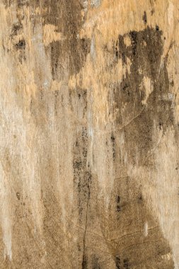 ahşap doku çok eski meşe, kaba ahşap üniforma değil