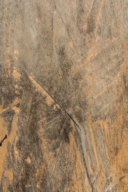 ahşap doku çok eski meşe, kaba ahşap üniforma değil