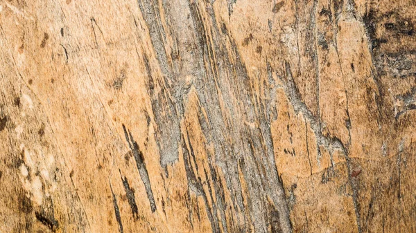 Текстура деревини дуже старий дуб, груба деревина не однорідна — стокове фото