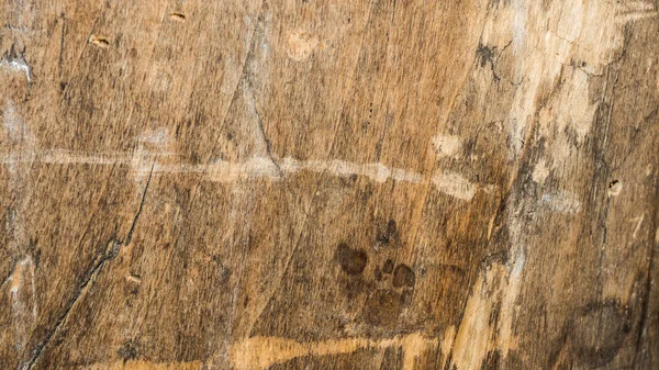 Textura de madeira carvalho muito velho, a madeira áspera não é uniforme — Fotografia de Stock