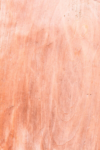 дерево текстура очень старый дуб, грубая древесина не является однородной
