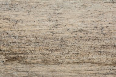 ahşap doku çok eski meşe, kaba ahşap üniforma değil