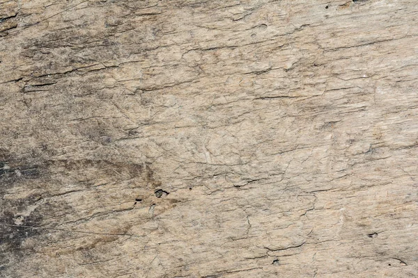 Текстура деревини дуже старий дуб, груба деревина не однорідна — стокове фото