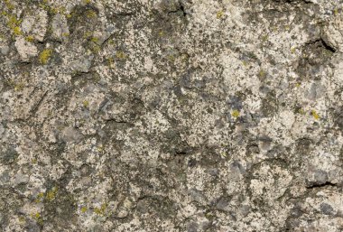 kabartma doku kaba doğal taş