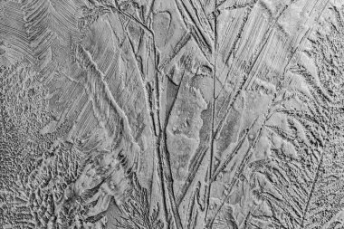 kabartma Dekoratif Sıva ile çeşitli bitkilerin olan