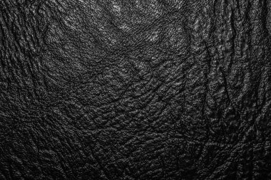 Suni deri, yakın çekim arka plan kabartma dokusu