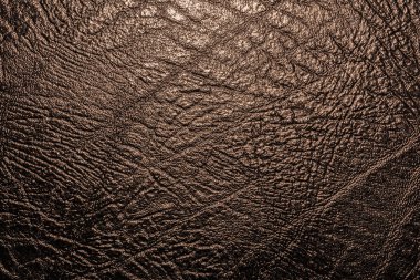 Suni deri, yakın çekim arka plan kabartma dokusu