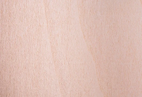 Texture de contreplaqué de bouleau naturel, la surface du bois a été frottée avec du papier de verre et rayée — Photo