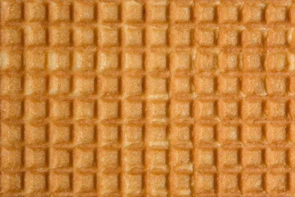 Relieve textura de la superficie de una galleta o favi, fondo abstracto — Foto de Stock