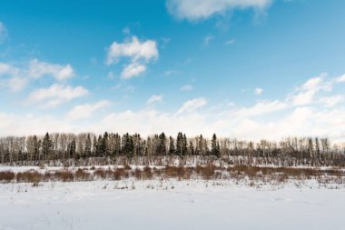 Orada ufukta kış manzara üzerinde ağaçlar büyümek, mavi gökyüzü güneşli bir gün bir tepedir
