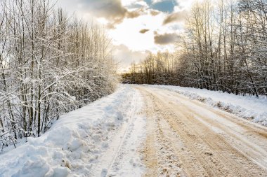 kırsal bir karlı yol kenarına kar kapaklar ile kaplı ağaç dalları üzerinde snowdrifts ile bir kış orman gün güneş aydınlatır.